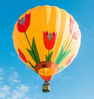 Воздушный шар Тюльпан